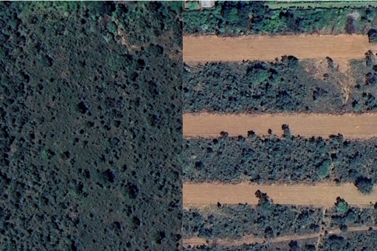 Antes e depois de região na APA do Rio São Bartolomeu