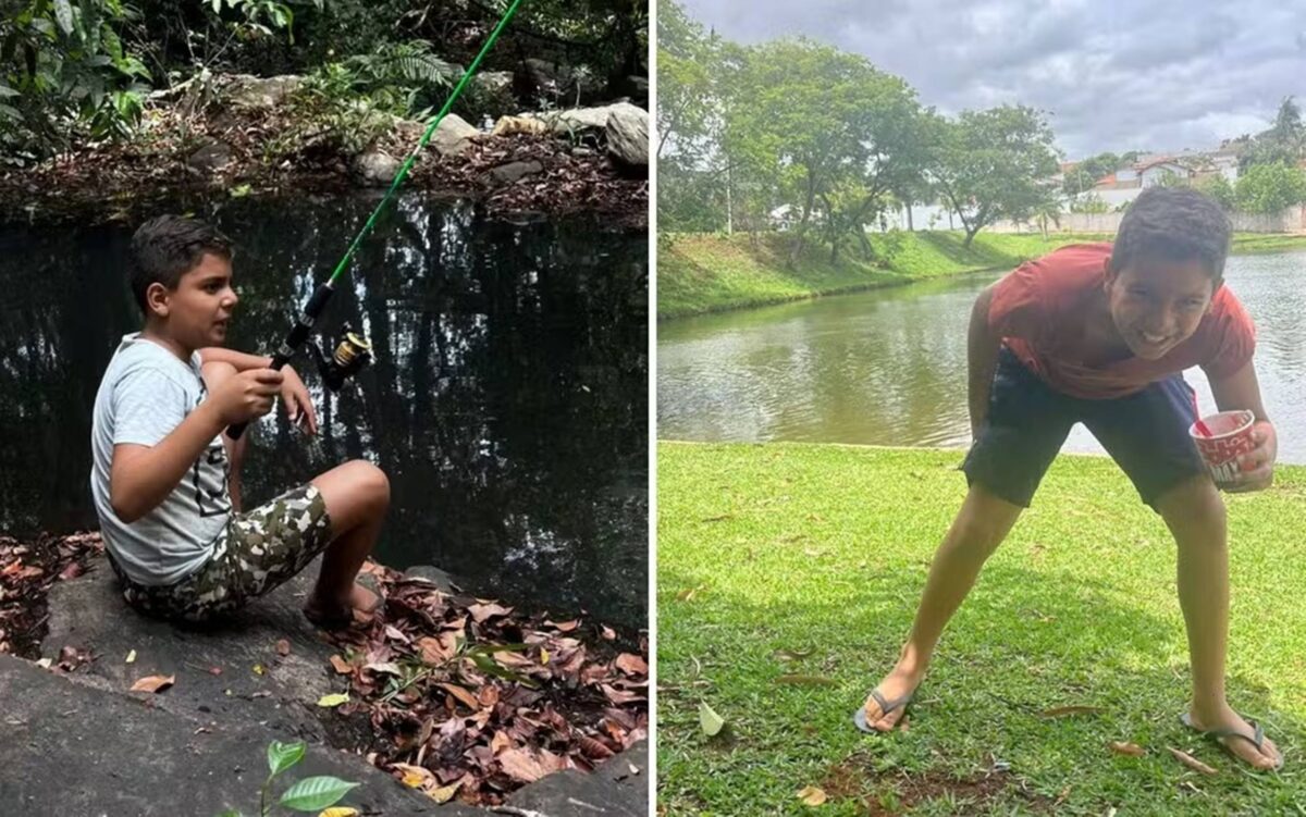 Desespero em Goiás: Menino de 9 Anos Sofre Mais de 1.500 Picadas de Abelhas e Luta Pela Vida