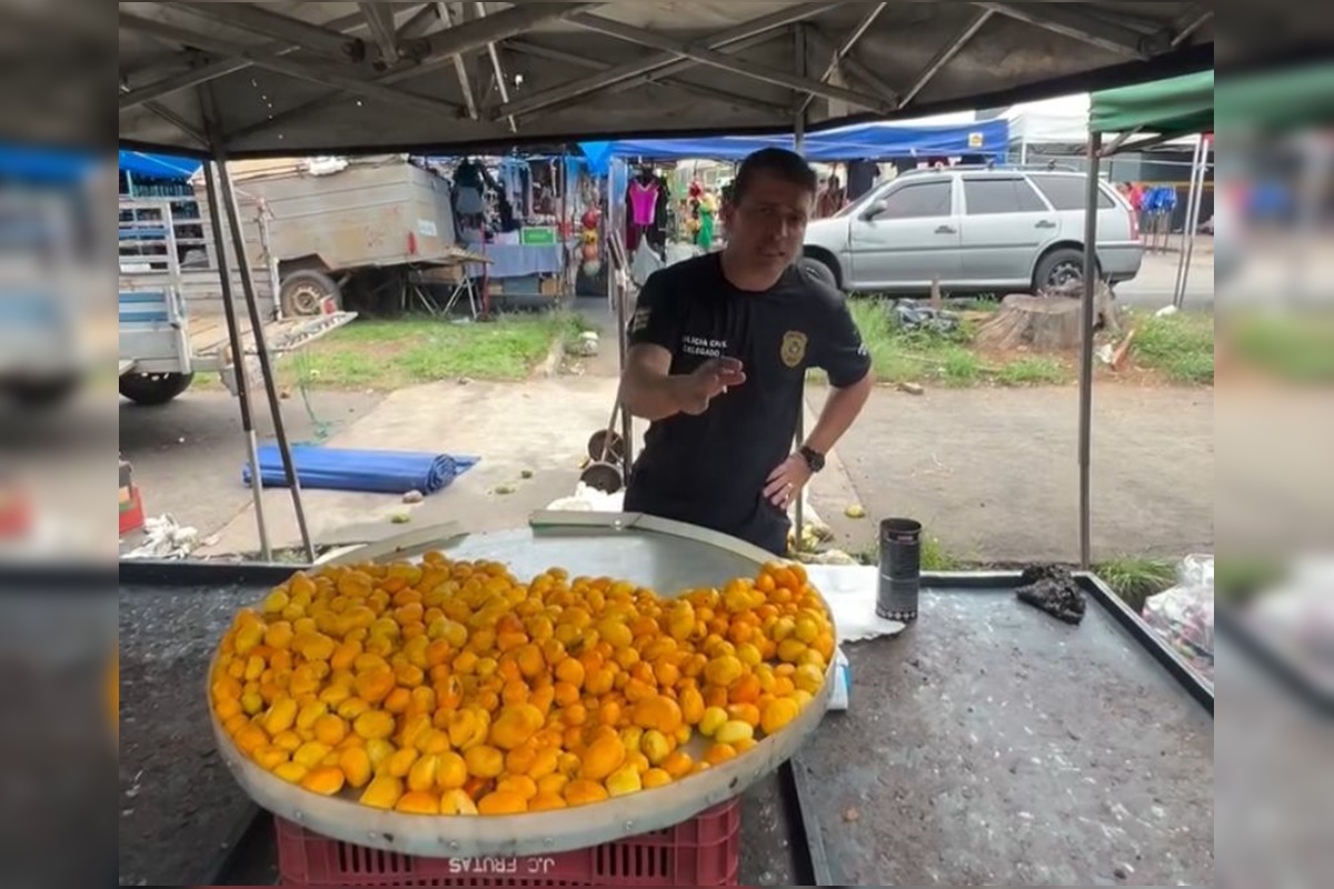 Falso litro do pequi: delegado fiscaliza feira e alerta para golpe